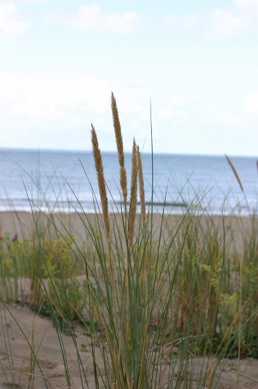15-08-2008 035.jpg